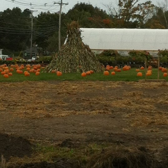 Wallingford Farm Farm