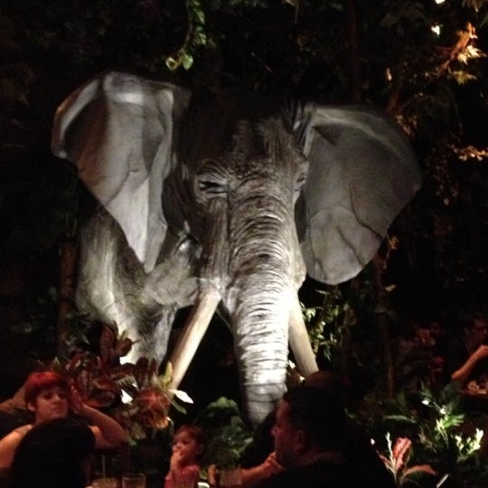 Photos At Rainforest Cafe Lake Buena Vista Fl