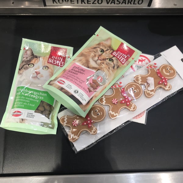 Sallai center dm Sallai center dm