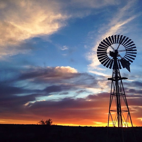 The Karoo Field
