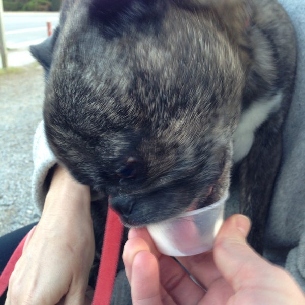 Axel's Food And Ice Cream 2 tips