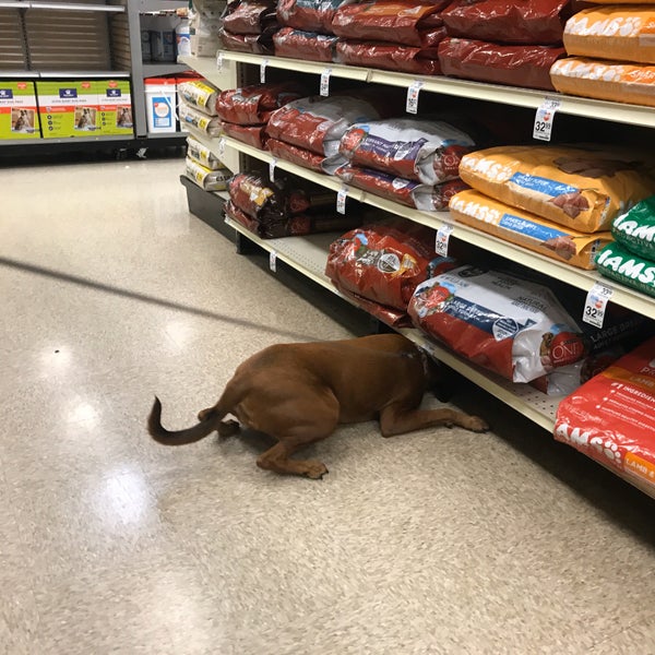 PetSmart Tampa, FL