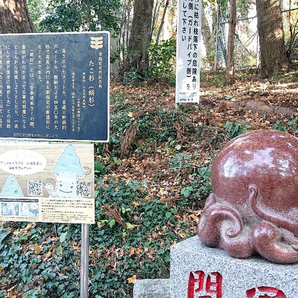 Photos At たこ杉 蛸杉 2 Tips