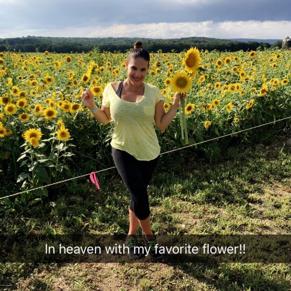 Photo taken at Sussex County Sunflower Maze by Stephanie M. on 8/14/2016