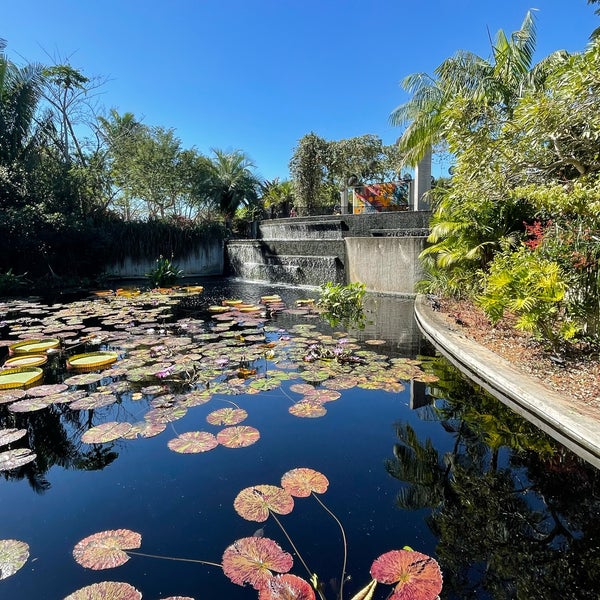 Photo taken at Naples Botanical Garden by Dave 🇺🇸 on 12/26/2021