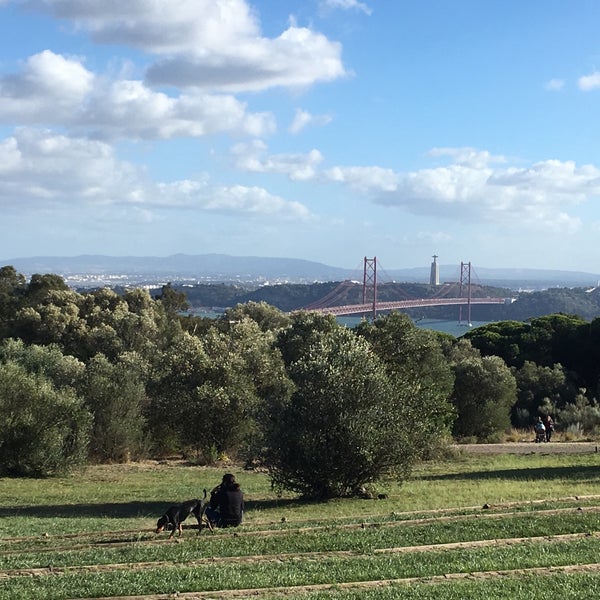 Photos à Anfiteatro Keil do Amaral Ajuda Parque Florestal de Monsanto
