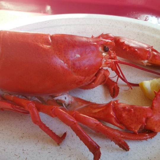 1/31/2015 tarihinde Living NEO G.ziyaretçi tarafından The Lobster Stop'de çekilen fotoğraf