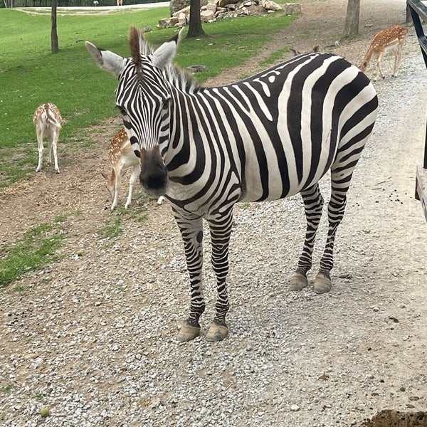Farm at Walnut Creek Zoo