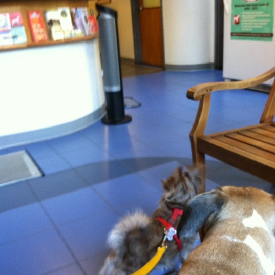 Foto scattata a Hope Veterinary Clinic da Love Boat Captain il 9/25/2012