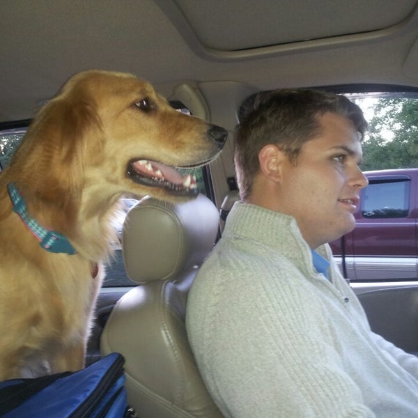 Meadow Bridge DriveIn 3 tips from 19 visitors