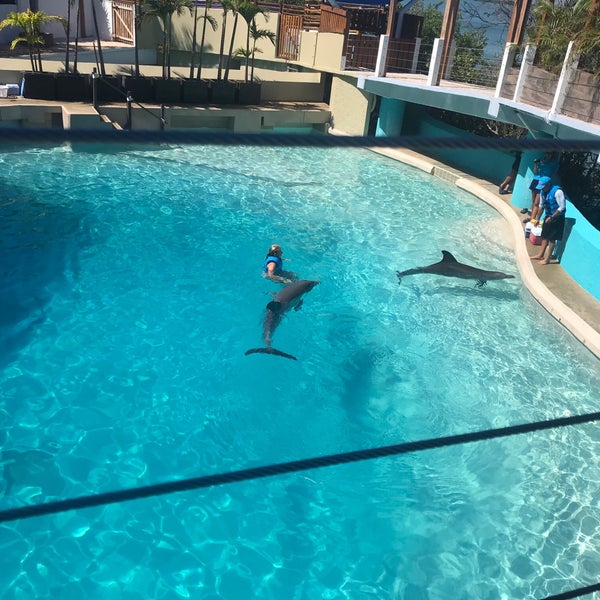 Photo taken at Aquarium Cancun by Leita G. on 4/18/2018