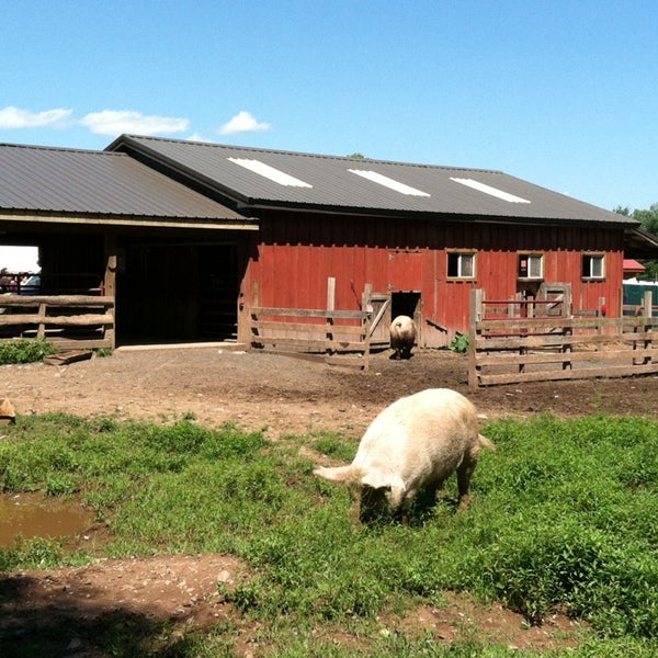 Photo taken at Woodstock Farm Animal Sanctuary by Bettye R. on 7/5/2014