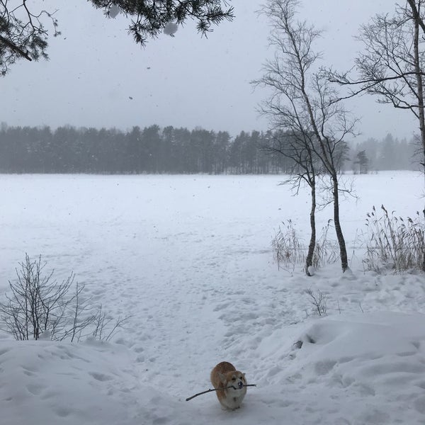 Озеро гупуярви