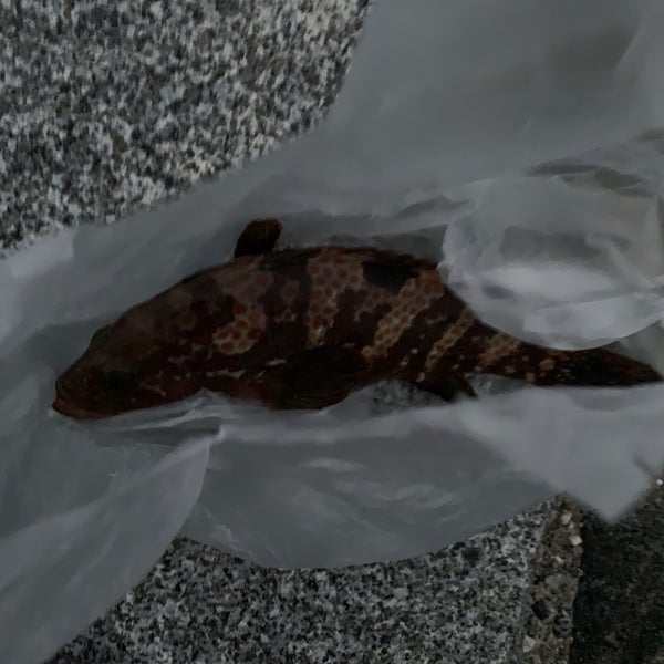 Photos At 海老江海浜公園 射水市 富山県