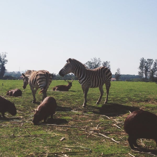 8/23/2014 tarihinde Camila M.ziyaretçi tarafından Pampas Safari'de çekilen fotoğraf