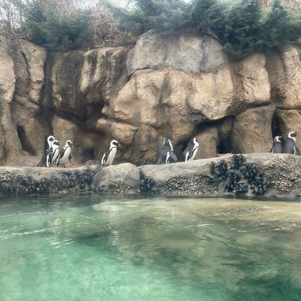 Foto diambil di Lincoln Park Zoo oleh Artem I. pada 12/23/2023