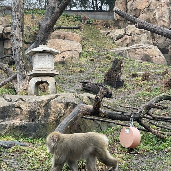 Foto diambil di Lincoln Park Zoo oleh Artem I. pada 12/23/2023