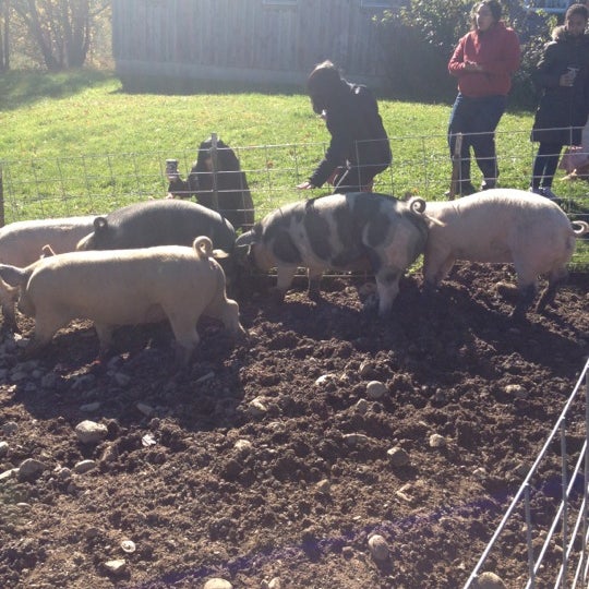 Das Foto wurde bei Sprout Creek Farm von Dona P. am 10/13/2012 aufgenommen