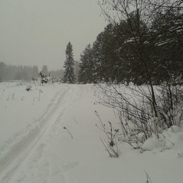 Красная гора сыктывкар