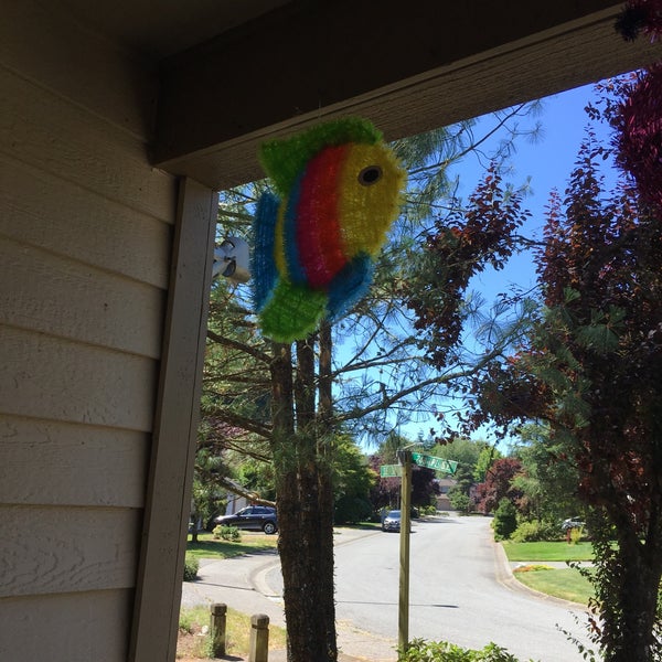 Party Display and Costume Issaquah'ta Sanat ve El Sanatları Mağazası