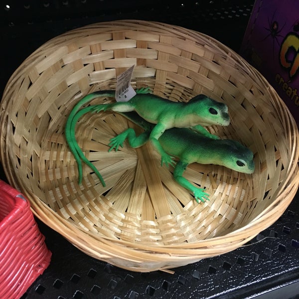 Party Display and Costume Issaquah'ta Sanat ve El Sanatları Mağazası