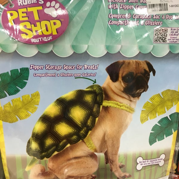 Party Display and Costume Issaquah'ta Sanat ve El Sanatları Mağazası