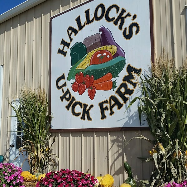 Hallock's UPick Farm Farm in New Egypt