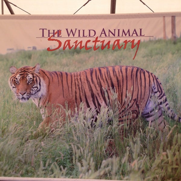 The Wild Animal Sanctuary - Keenesburg, CO