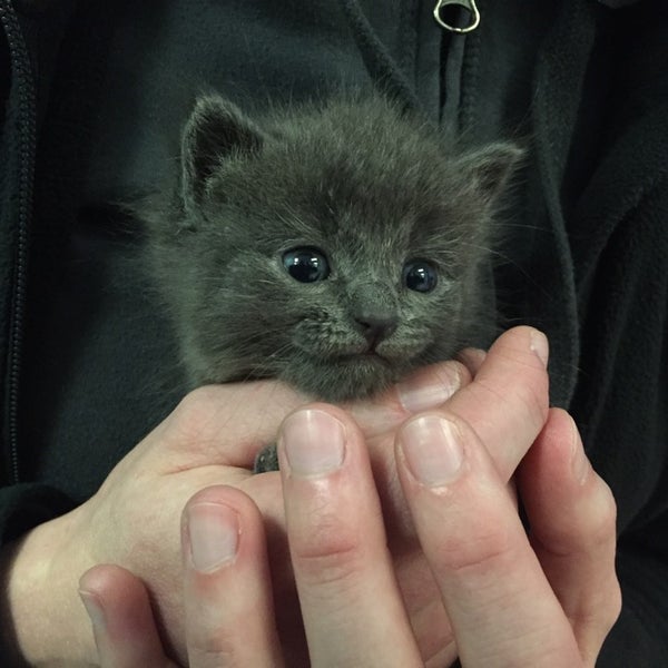 4 legged friends daycare and boarding