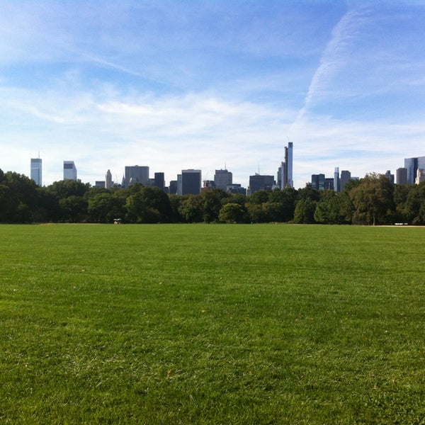 Нью йорк нетс стадион. Поле американского бейсбольное. 8 field. New yankee stadium. 8 field.
