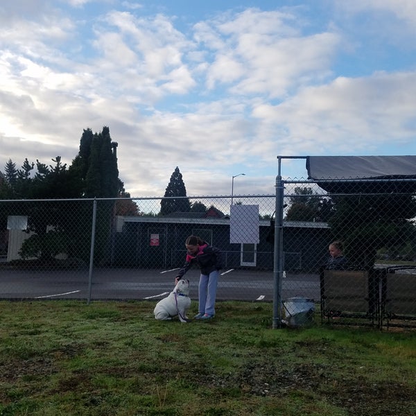 vca covington animal hospital