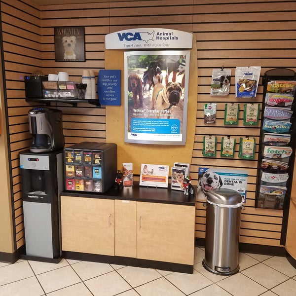 vca kent animal hospital