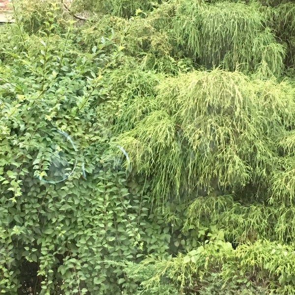 RavennaEckstein Community Center Seattle'de Oyun Parkı / Çocuk Parkı