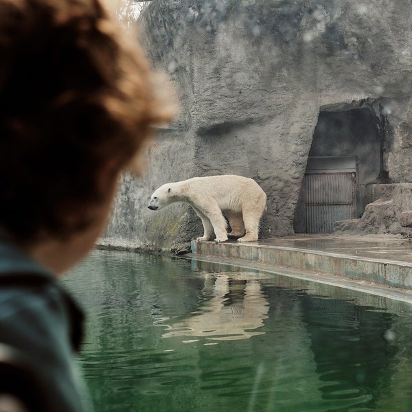 Photo taken at Budapest Zoo by Nikoletta F. on 4/17/2023