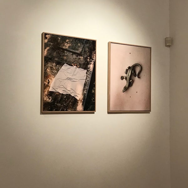 9/26/2021에 Nikoletta F.님이 Mai Manó Gallery and Bookshop에서 찍은 사진