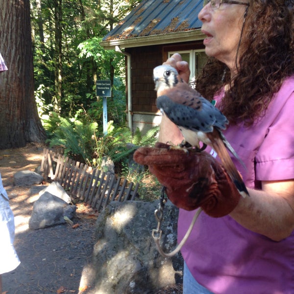 Photo prise au Audubon Society of Portland par Jane P. le10/5/2015