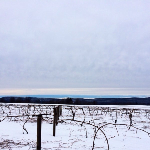 Photos at Watchtower Farms Farm