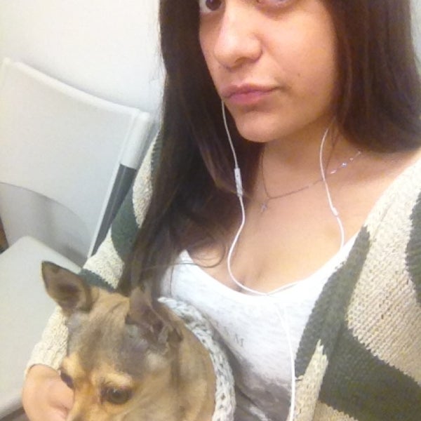 Cityline pet hotsell clinic