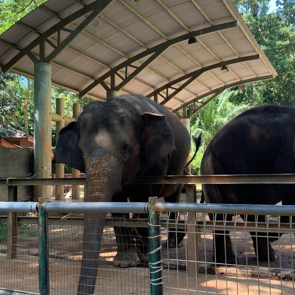 Photo taken at Zoo Melaka by Syahira on 1/15/2022