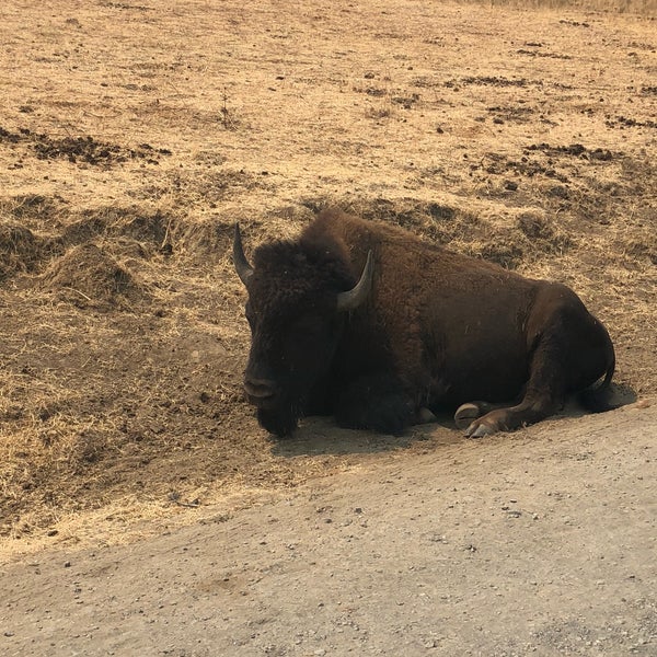 Photo taken at Wildlife Safari by Sarah B. on 8/14/2018