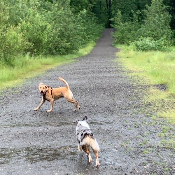 Sandy River Delta Dog Park Troutdale, OR