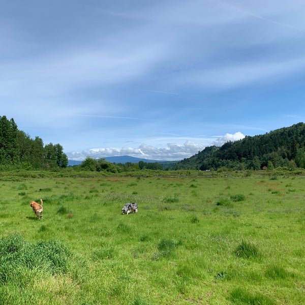 Sandy River Delta Dog Park Troutdale, OR