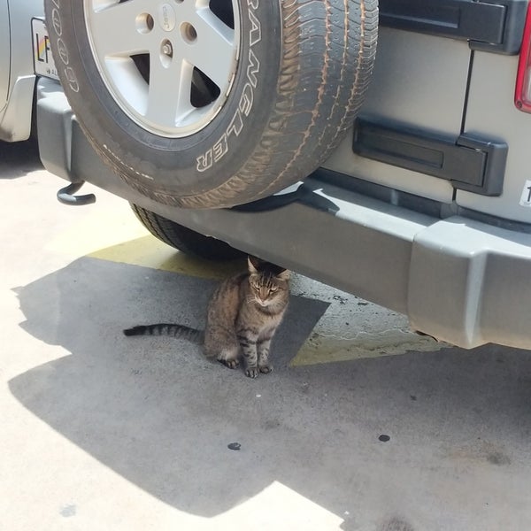 Kihei Rent A Car 3 tips from 122 visitors