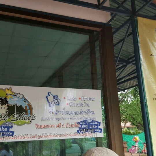 Photos At Black Sheep Farm
