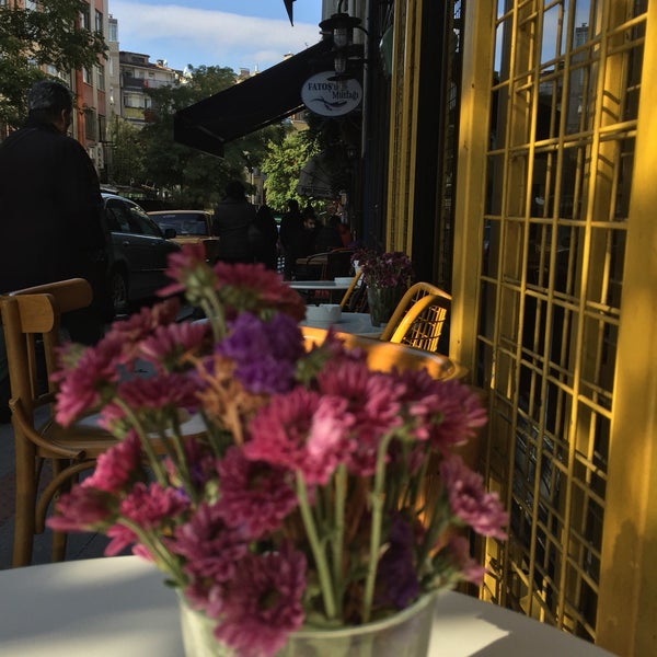 10/29/2016にElifがİki Kedi Cafeで撮った写真