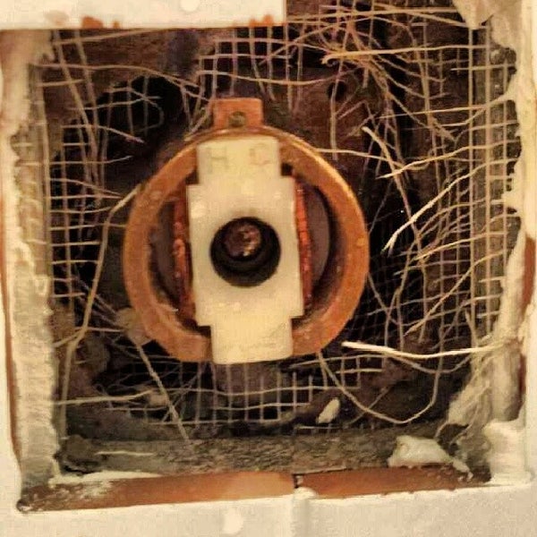 Photos at The Home Depot Tallahassee, FL