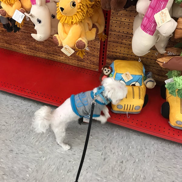 Petco Pet Supplies Store in River North