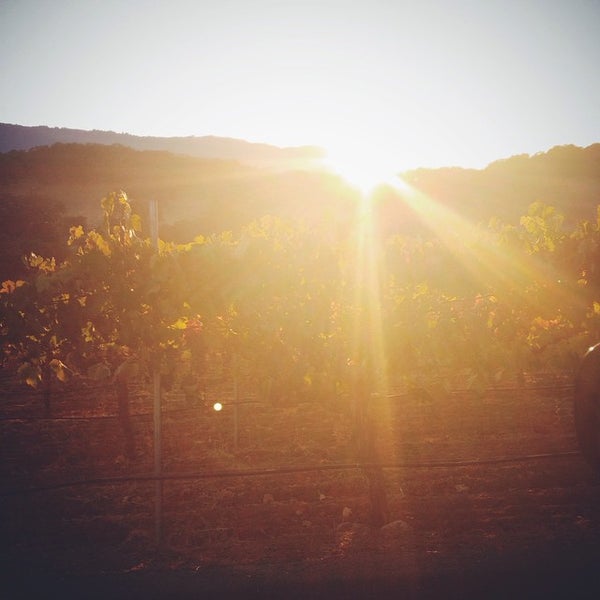 รูปภาพถ่ายที่ Arrowood Vineyards &amp; Winery โดย Lisa เมื่อ 9/12/2014