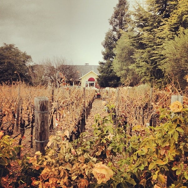Photo taken at Benessere Vineyards by Lisa on 12/6/2013
