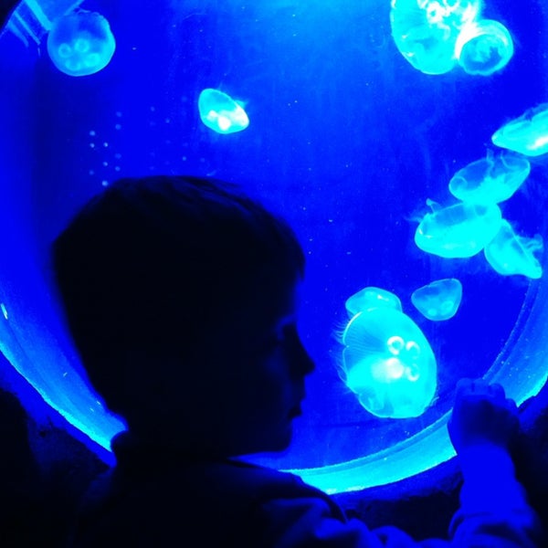 Portland Aquarium 18 tips from 570 visitors